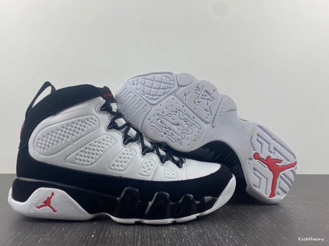 Kicktheory 9 Space Jam Jordan 302370-112 OG Air 0701